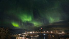 Majestic Northern Lights Dance Over Halogaland Bridge in Narvik, by PhotoCluster
