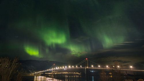 Het majestueuze noorderlicht danst boven de Halogaland-brug in Narvik,