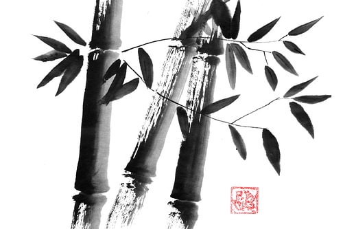bamboo washi paper