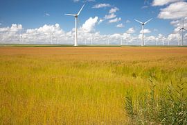 Windkraftanlagen im NO-Polder von Leo Keijzer