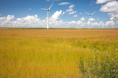 Éoliennes dans le polder de NO sur Leo Keijzer