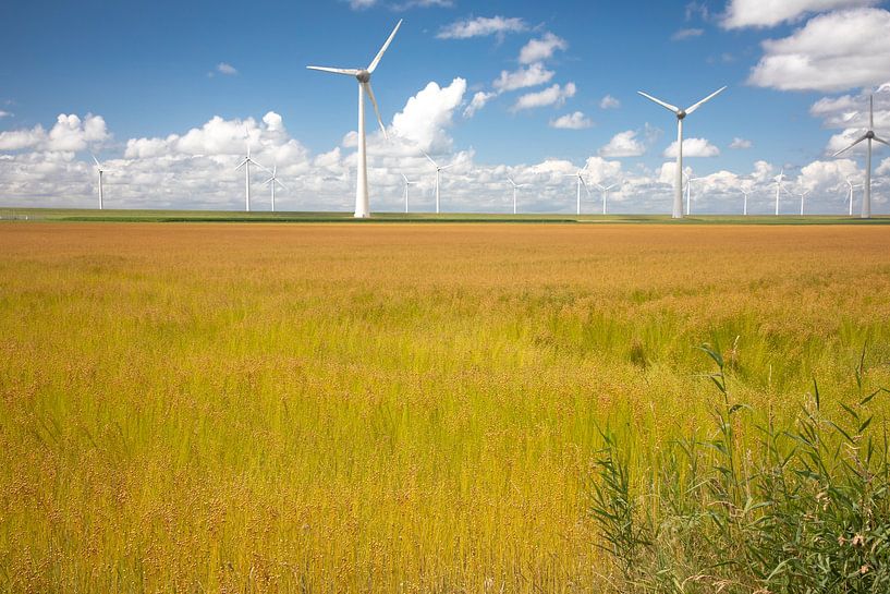 Windmolens in NO polder van Leo Keijzer