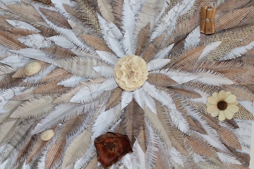 Federlos von Denise Brugman