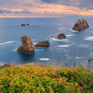 Playa de la Arnia, Kantabrien, Spanien