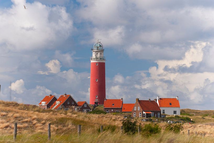 The Lighthouse on the Island of Texel  von Brian Morgan