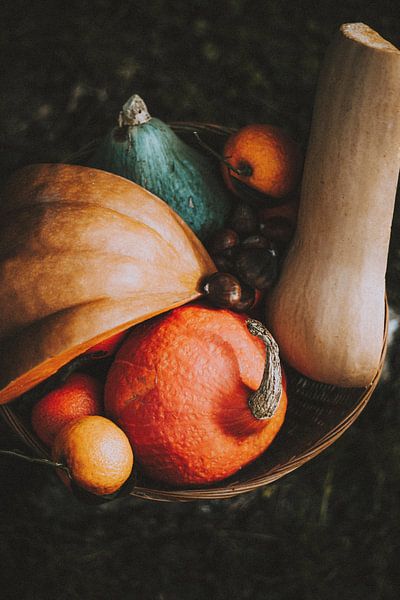 Autumn Vibes by Hello Pompoyo