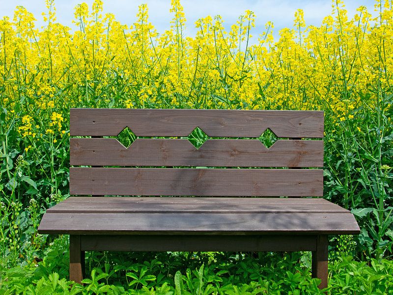Wooden bench by Michael Schuppich