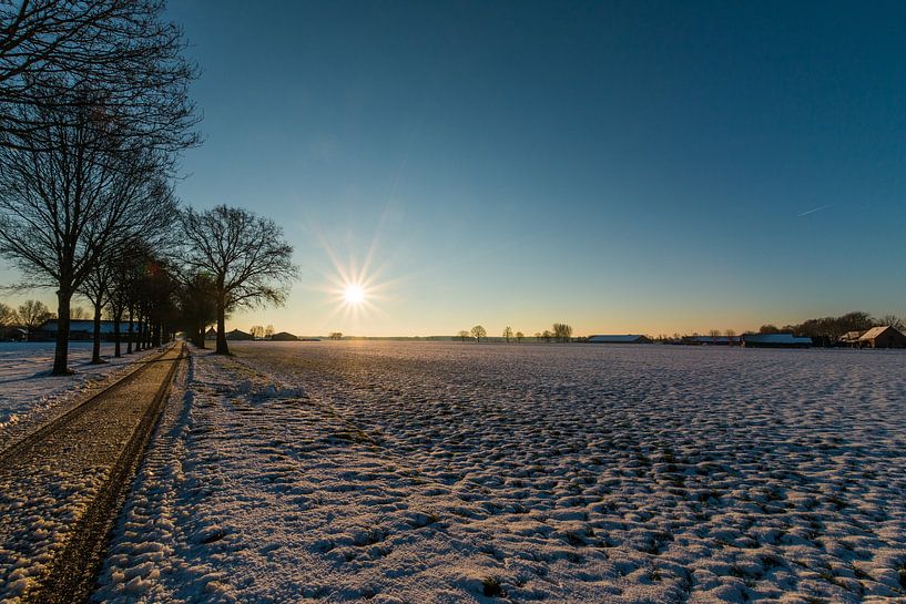 Besneeuwd Brabant van Thomas van de Vosse
