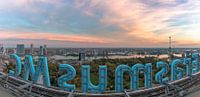 Panoramaview Rotterdam by AdV Photography thumbnail