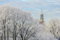 efrorene Bäume mit dem Nieuwe Toren (Neuer Turm) in Kampen von Sjoerd van der Wal Fotografie Miniaturansicht