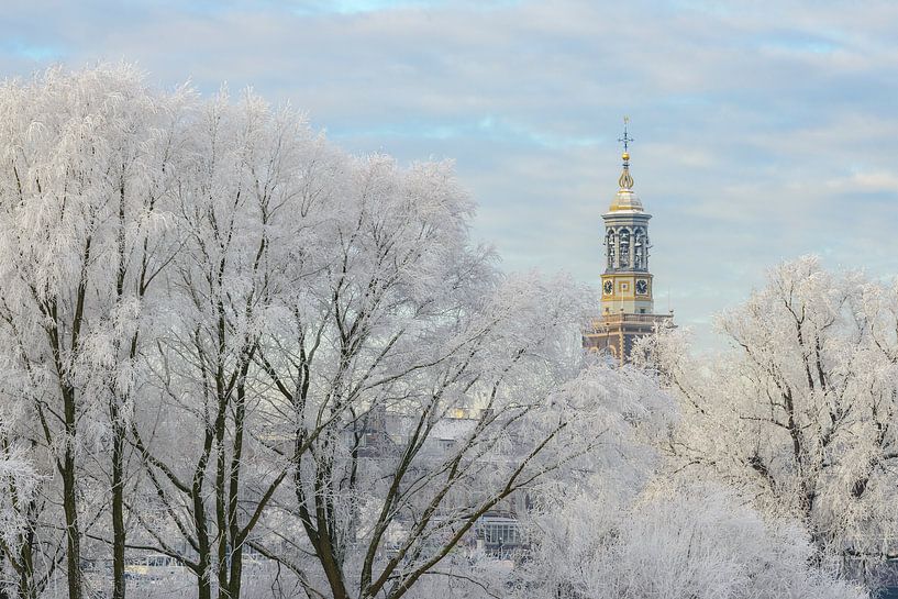 efrorene Bäume mit dem Nieuwe Toren (Neuer Turm) in Kampen von Sjoerd van der Wal Fotografie