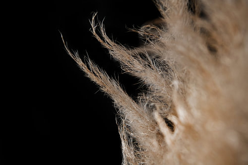 Gossamer