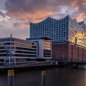 The Elbphilharmonie in the sunset by Severin Frank Fotografie