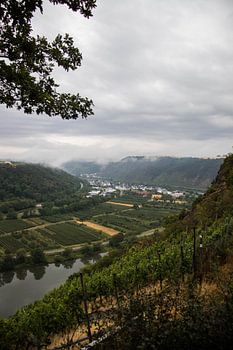 Die Mosel in Deutschland