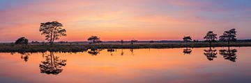 Sonnenuntergang am Holtveen, Dwingelderveld von Henk Meijer Photography