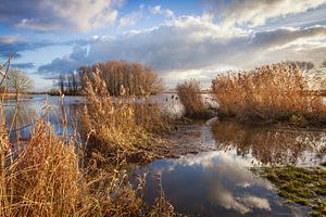 Grenze Biesbosch