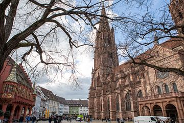 Freiburg im Breisgau - Münsterplatz and Freiburg Cathedral by t.ART