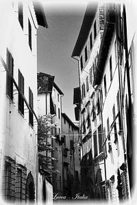 Schwarz & Weiß italienische Straße in Lucca
