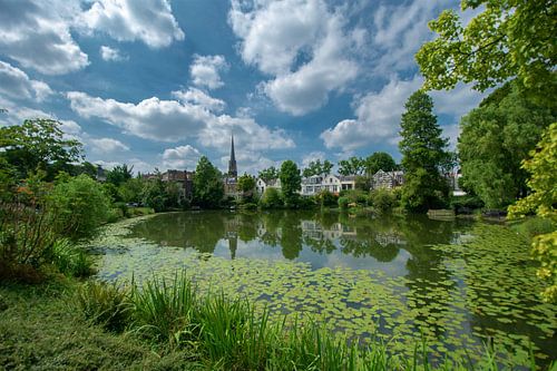 Vijverlaan Rotterdam landschap landscape netherlands nederland zuid holland Slotlaan Kralingen