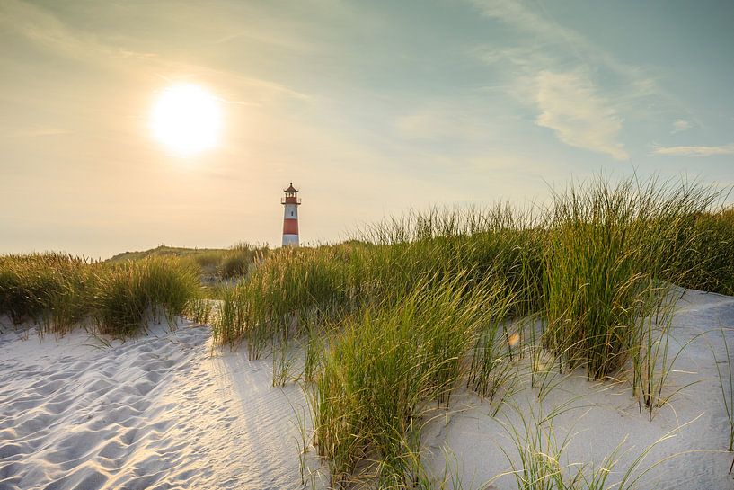 Sylt dans une lumière dorée par Ursula Reins