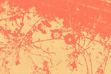 Flowers in orange and yellow. Abstract botanical art in warm colors by Dina Dankers