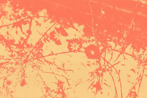 Blumen in Orange und Gelb. Abstrakte botanische Kunst in warmen Farben von Dina Dankers