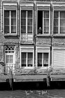 Old house