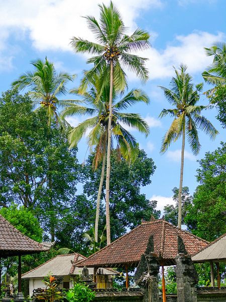 Een tempel tussen de palmbomen in Bali von Petra Brouwer