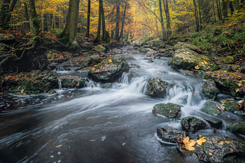 Herbst am Fluss