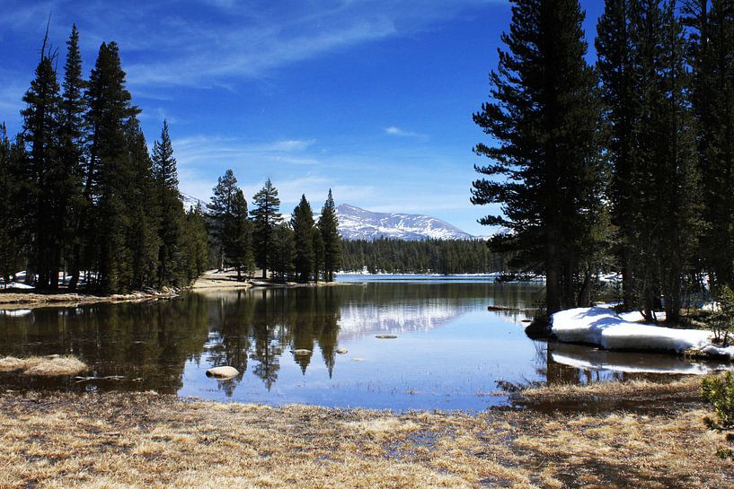Dog lake yosemite park by Sanne Willemsen