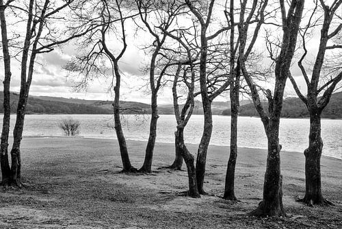 Lac de Pannecière