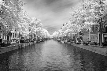 Die Amsterdamer Keizersgracht im Infrarot