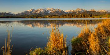 Sunrise at the Hopfensee by Walter G. Allgöwer