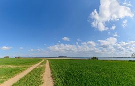 Field path near Glutzow at Strelasund, island of Rügen by GH Foto & Artdesign