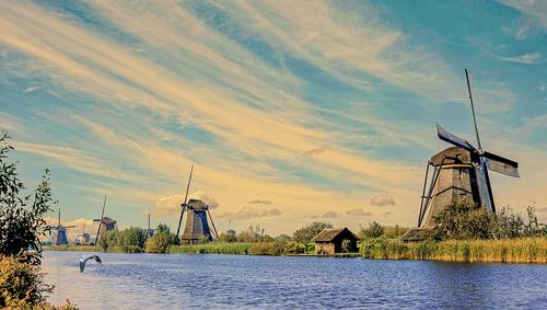 Werelderfgoed Kinderdijk. van Jan Golverdingen