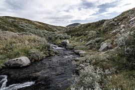 Norwegen | Strömender Fluss am Berg Muen im Rondane-Nationalpark von Dylan Winter Visuals
