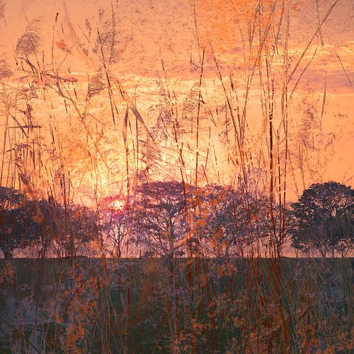 Landscapes_Landshapes 3