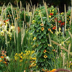 Bloemenrijkdom in de tuin van Karsten Mücke