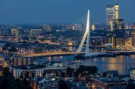 De Erasmusbrug gezien vanaf de Euromast (Rotterdam). van Claudio Duarte thumbnail