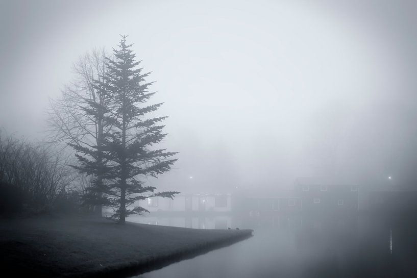 Fog on De Oeverlanden by Jan van der Knaap