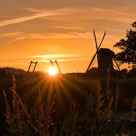 Windmill of Kinderdijk Sunset by Jim Looise