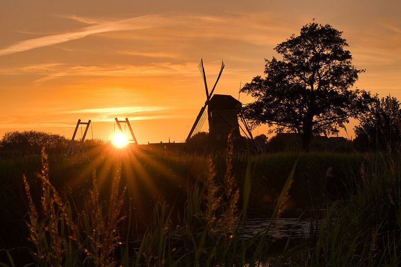 Windmill of Kinderdijk Sunset by Jim Looise