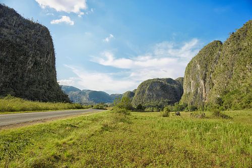 tropische scène rond Vinales Valley in Cuba, een eiland in de Caribische zee
