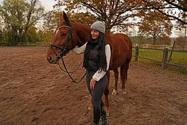 Training with the bay Oldenburg mare on a riding arena