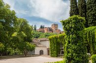 Granada, Alhambra von Anita Lammersma Miniaturansicht