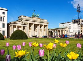 Brandenburger Tor mit Tulpen von Frank Herrmann