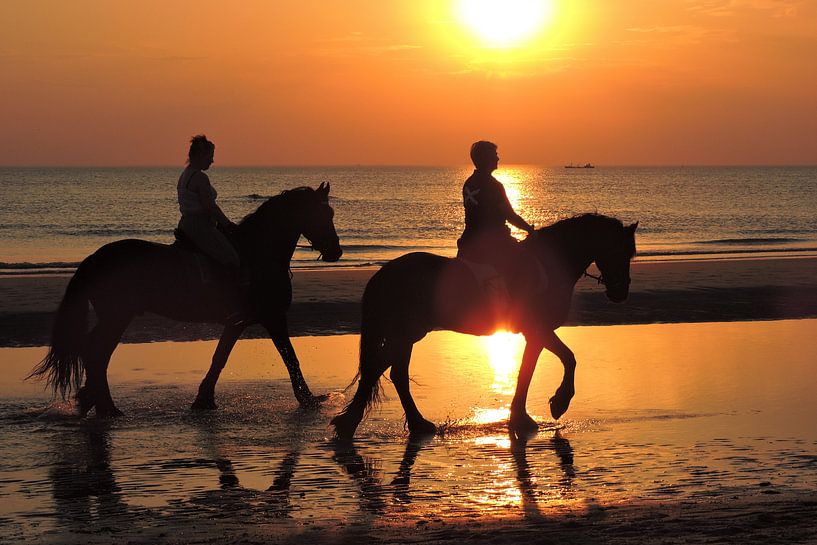 Horses on the evening beach at sea van ProPhoto Pictures