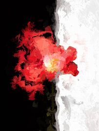 Noir et blanc avec coquelicot