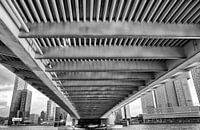 Erasmus Bridge in Rotterdam by Jan Sportel Photography thumbnail