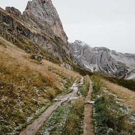 Mountain road of Seceda, Ortisei in South Tyrol, Italy by Wianda Bongen
